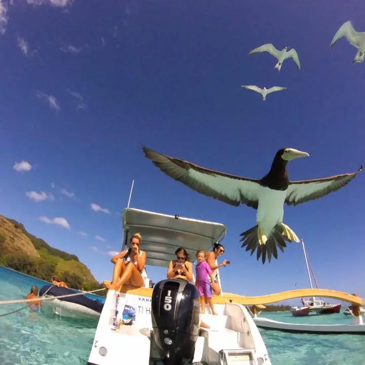 a group of people standing next to a body of water
