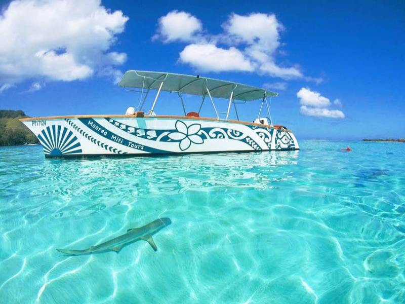a blue and white boat sitting next to a body of water