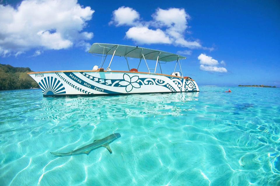 14732274_1127688557319978_6200861645654932154_n a blue and white boat sitting next to a body of water