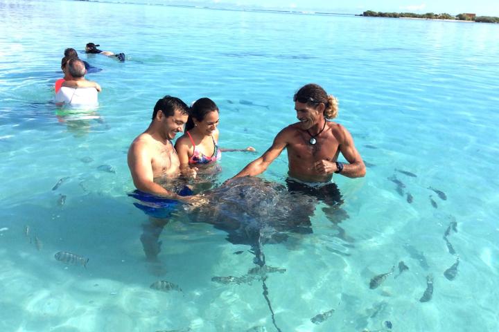 a group of people swimming in a body of water