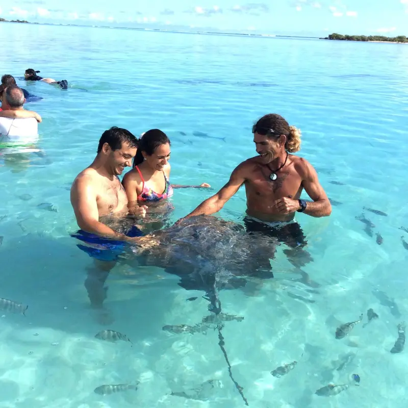 a group of people swimming in a body of water