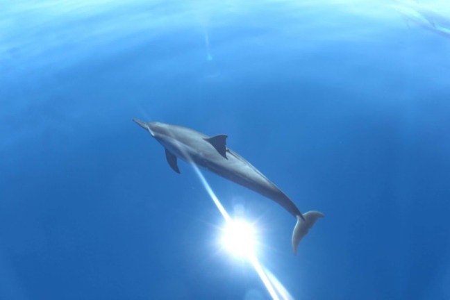 a fighter jet flying through a blue sky