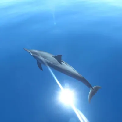 a fighter jet flying through a blue sky