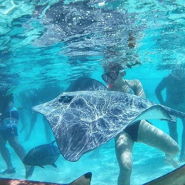 a person swimming in a pool of water