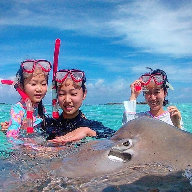 a group of people standing next to a body of water